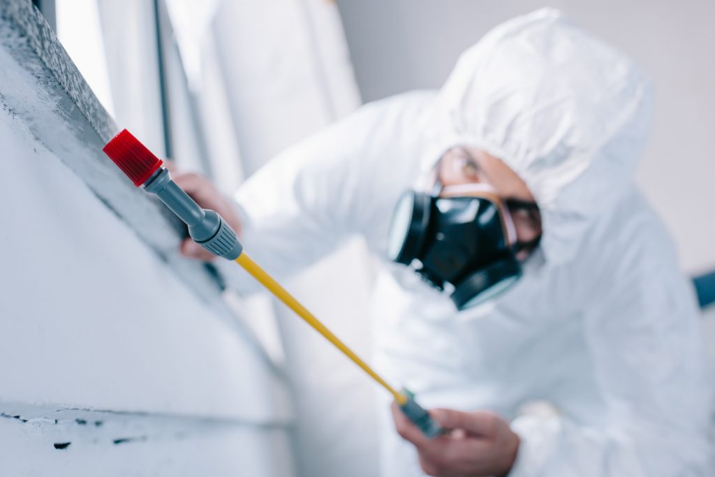 Leak Detection Specialists UK inspecting property leaks
