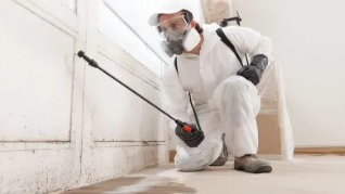 Emergency Leak Detection Specialists UK performing moisture testing